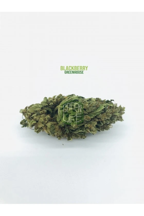 Blackberry - Fleurs CBD