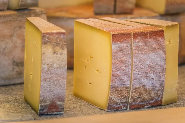 Cheese - Fleurs CBD