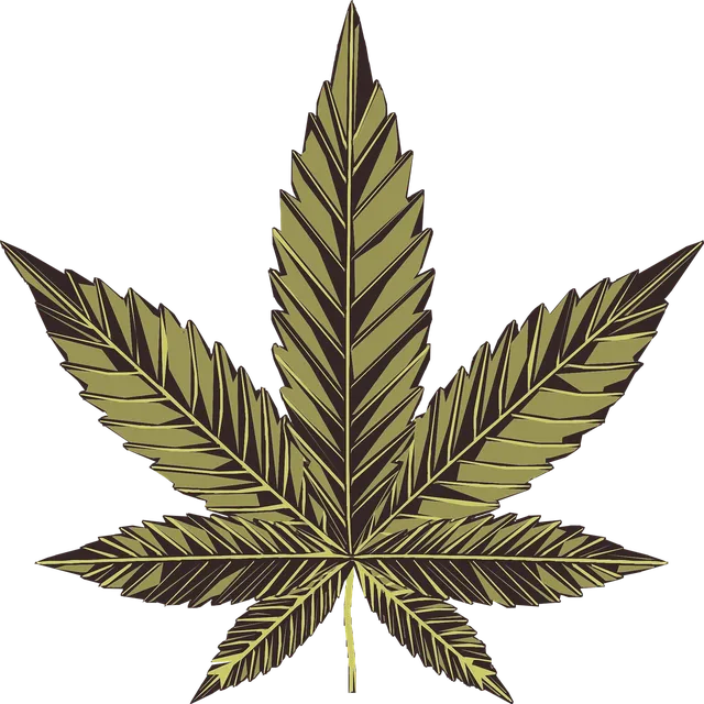 Skuff cbd