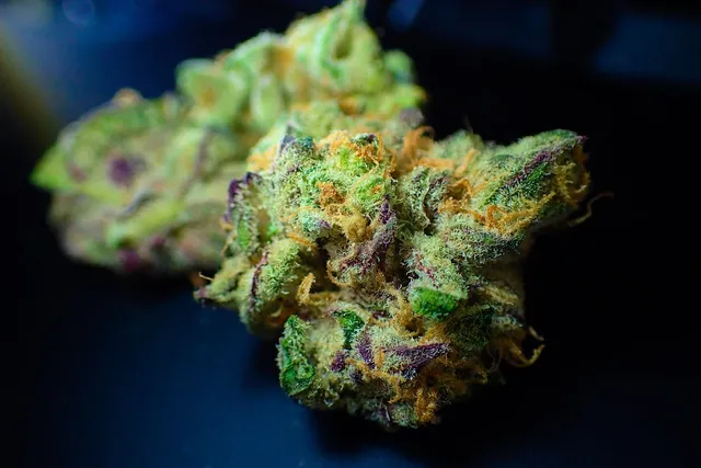Budda HHC - Fleurs HHC