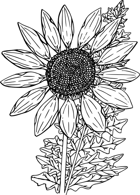 Résine CBG AYA