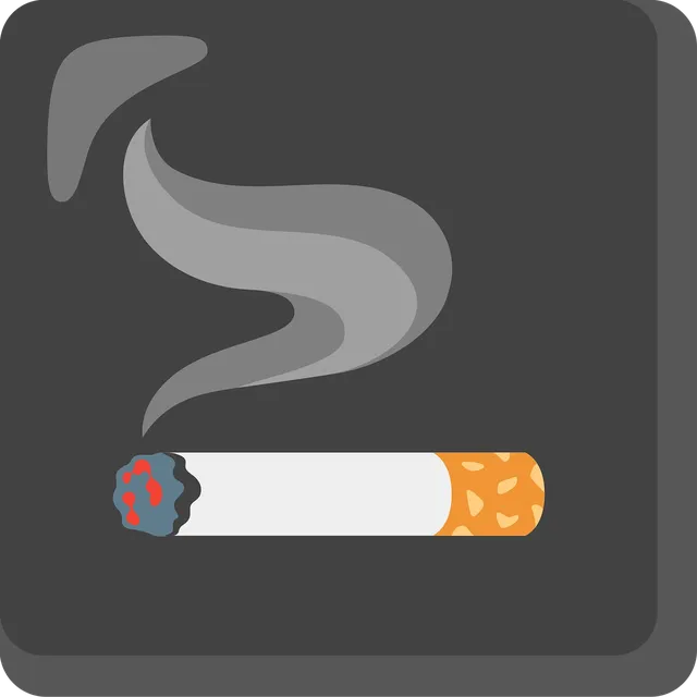 PAX 2 - Vaporisateur