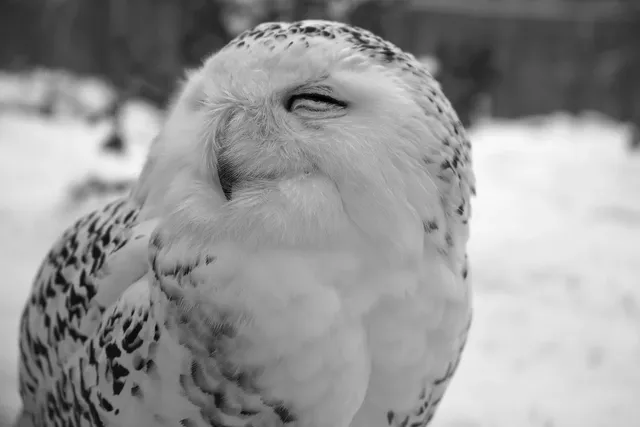 Le CBD pour le sommeil